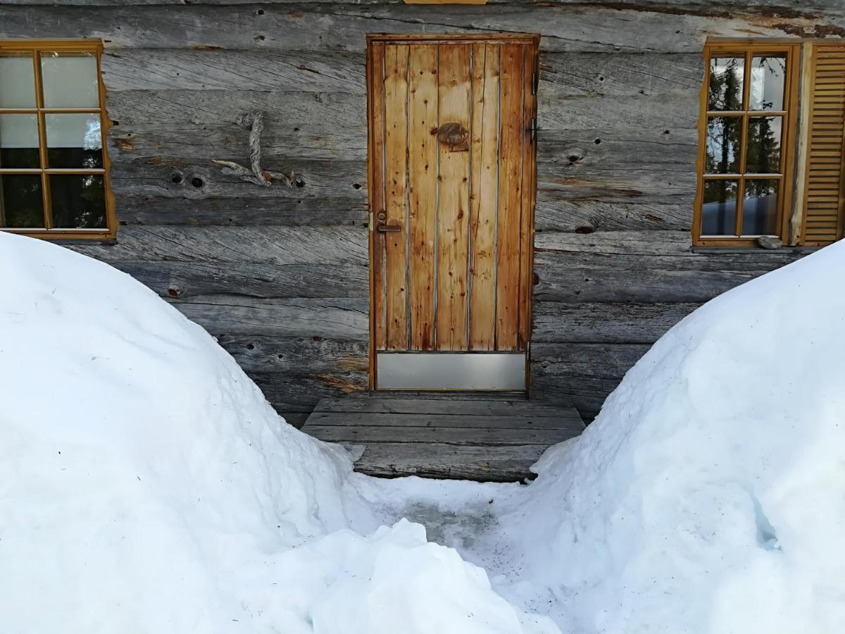 Logwood Chalet Луосто Экстерьер фото