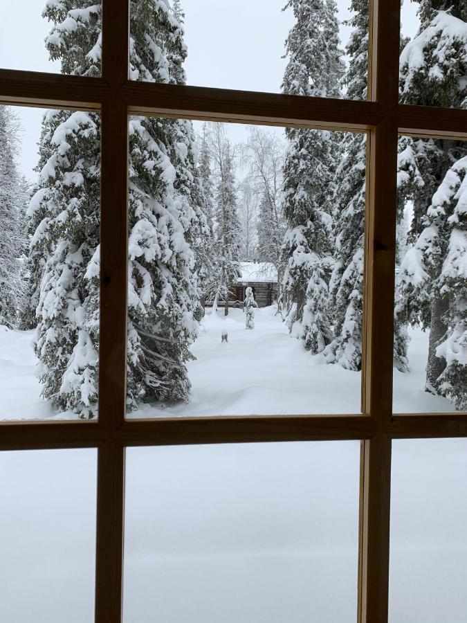 Logwood Chalet Луосто Экстерьер фото