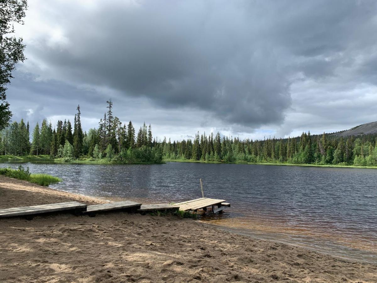Logwood Chalet Луосто Экстерьер фото
