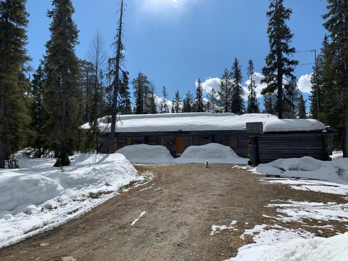 Logwood Chalet Луосто Экстерьер фото