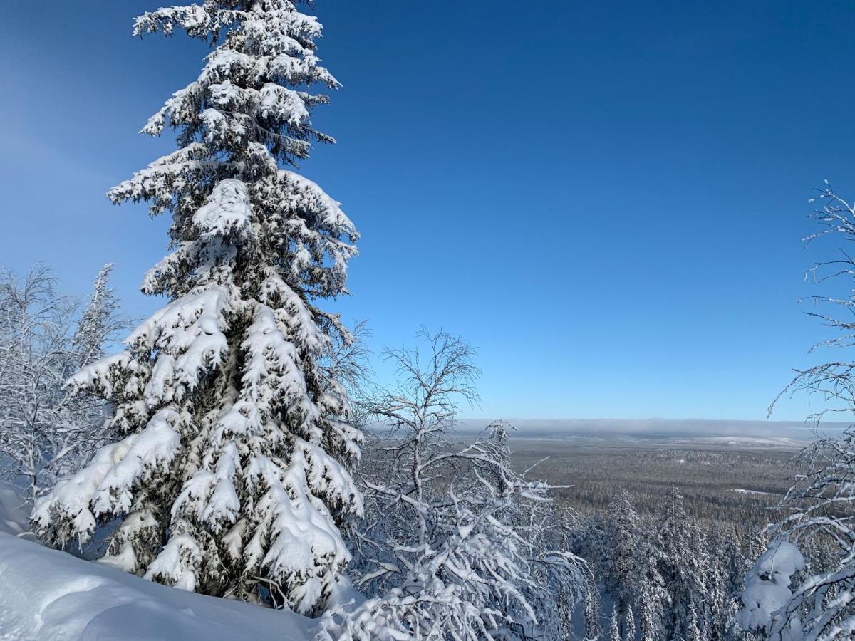 Logwood Chalet Луосто Экстерьер фото